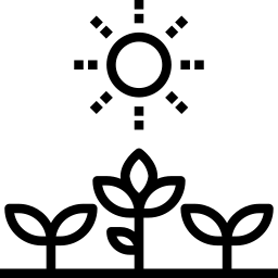 logo transparent logo transparent