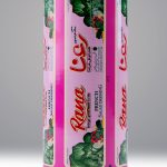 ساشه و استیک